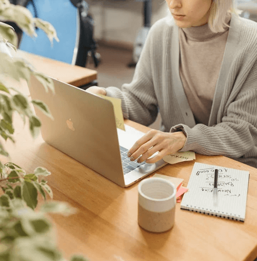 Filar Bitrevo ilustracja zespołu wsparcia